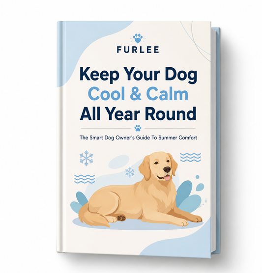 Cool & Calm Digital Guide