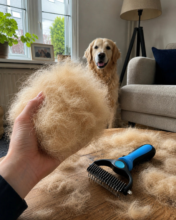 Visibly Less Fur, From Day One