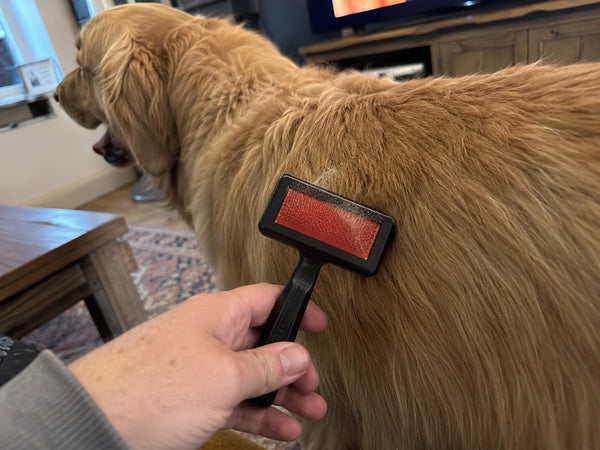 Regular Brushes Just Slide Over It