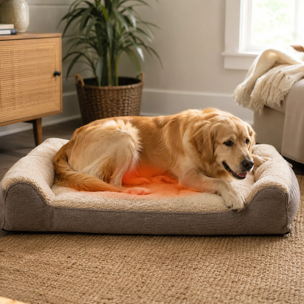 Warm Beds Trap Heat