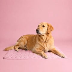 Furlee Cooling Mat