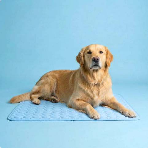 Furlee Ice-Silk Cooling Dog Mat
