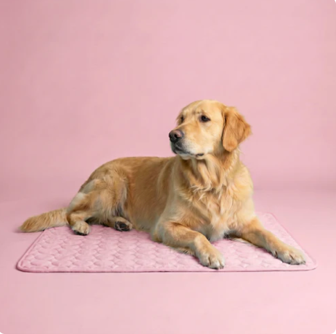 Furlee Cooling Mat